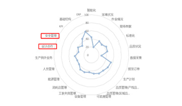 现状评估诊断